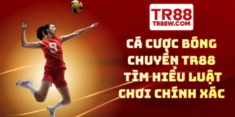 cá cược bóng chuyền TR88