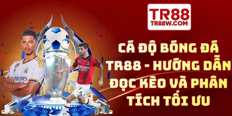 Cá độ bóng đá TR88