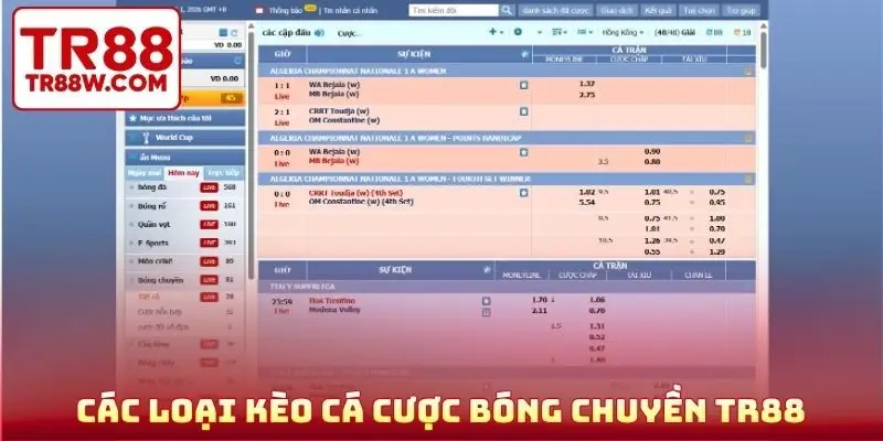Các loại kèo cá cược bóng chuyền TR88