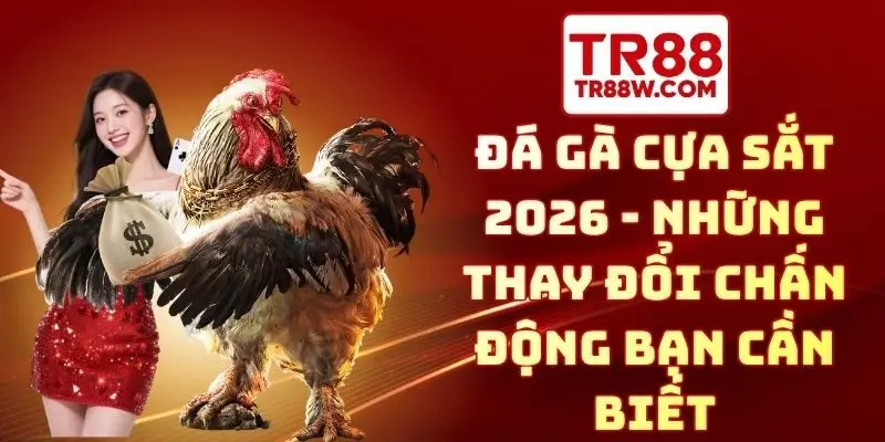đá gà cựa sắt