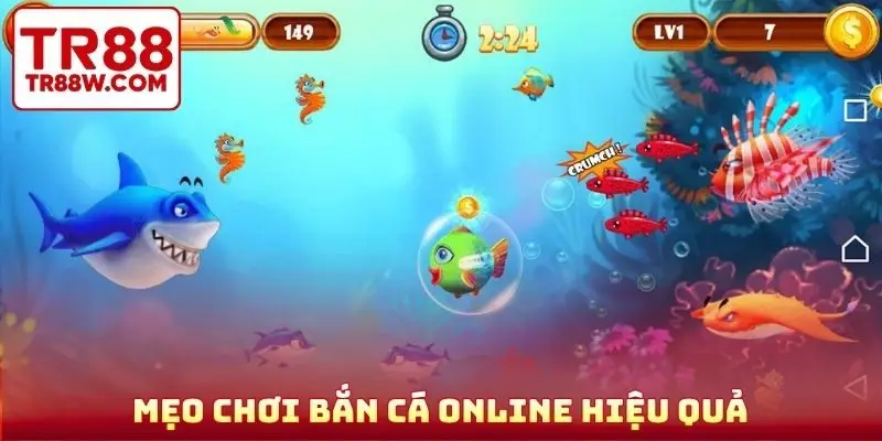 Mẹo chơi bắn cá online được nhận xét hiệu quả