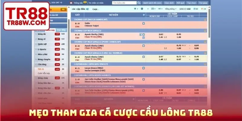 Mẹo tham gia cá cược cầu lông TR88