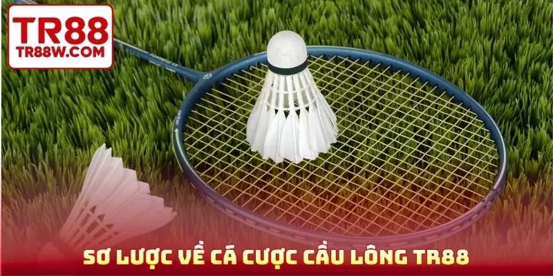 Sơ lược về cá cược cầu lông TR88