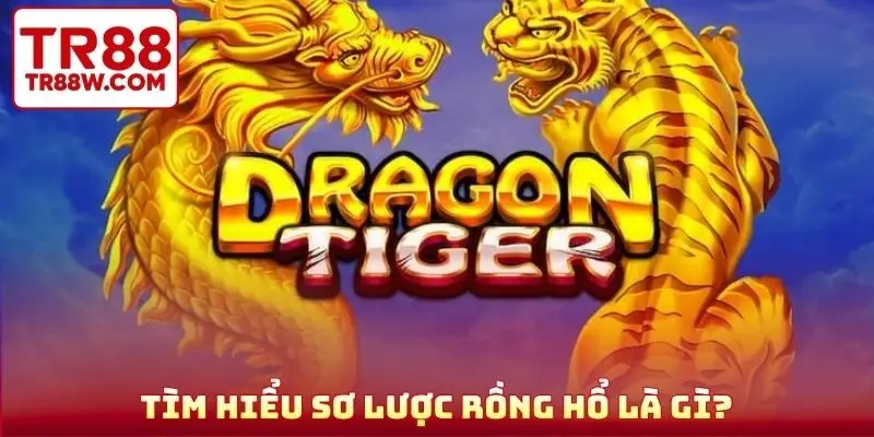 Tìm hiểu sơ lược Rồng Hổ là gì?