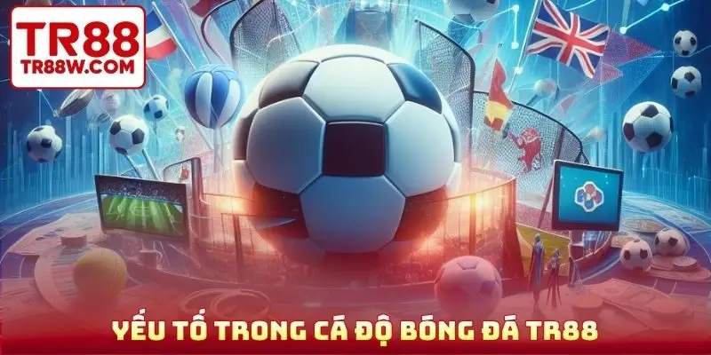 Yếu tố trong cá độ bóng đá TR88